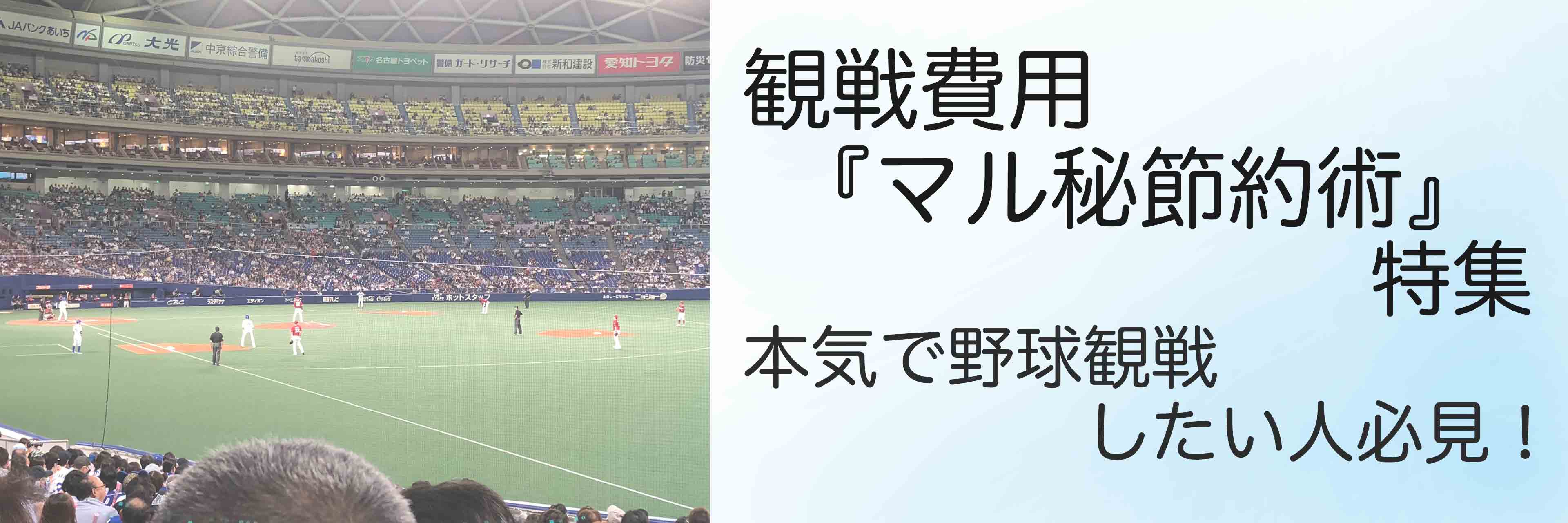 Dena 山崎康晃の家族愛がわかる７つの物語 母と姉とスヌーピー プロ野球とフィンランドが好きな代男の これが僕の生きる道